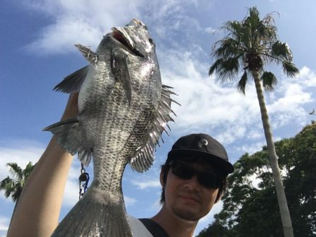 チヌ ルアーゲーム